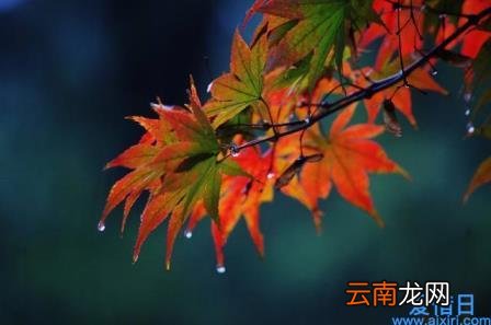 散文优美段落精选 散文优美段落精选及赏析