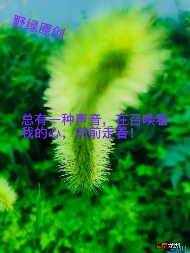 散文优美句子摘抄 优美散文句子摘抄大全
