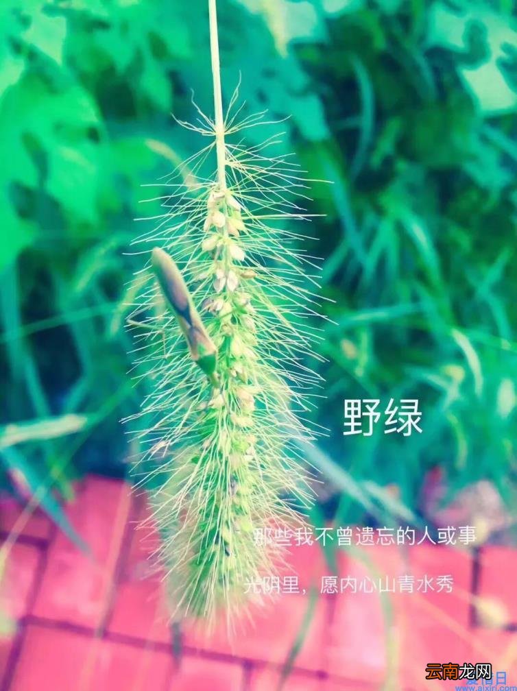 散文优美句子摘抄 优美散文句子摘抄大全