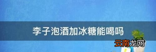 李子泡酒多久才能喝
