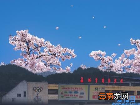 美文美段摘抄大全 优美摘抄文段大全
