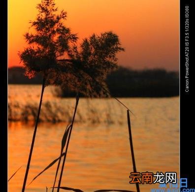 散文优美语段摘抄大全 优美风景散文段落摘抄
