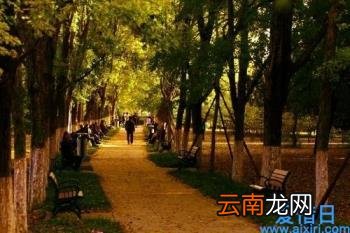 散文优美语段摘抄大全 优美风景散文段落摘抄