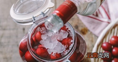 什么李子都可以泡酒吗