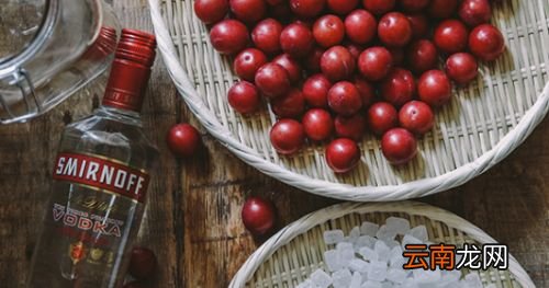 什么李子都可以泡酒吗