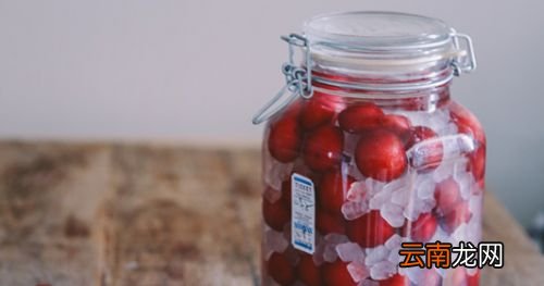什么李子都可以泡酒吗