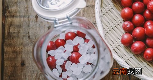 什么李子都可以泡酒吗