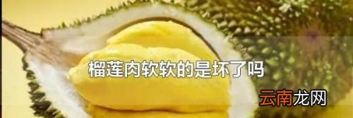 榴莲肉是不是软软的
