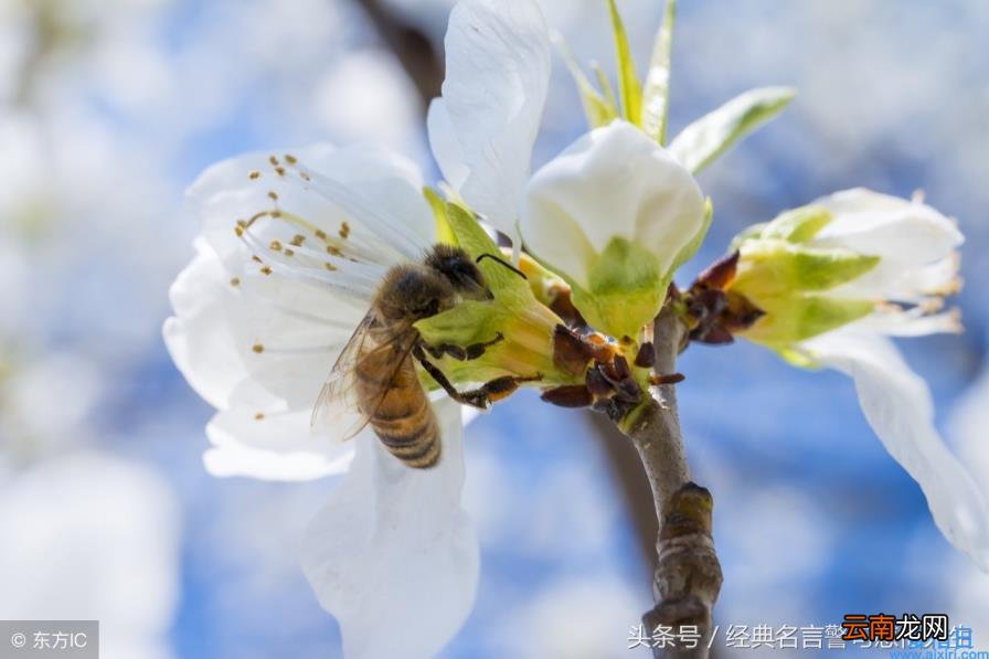 经典美文段落摘抄（优秀经典美文摘抄