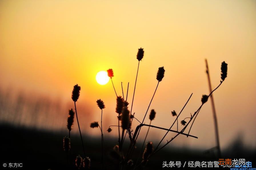 经典美文段落摘抄（优秀经典美文摘抄