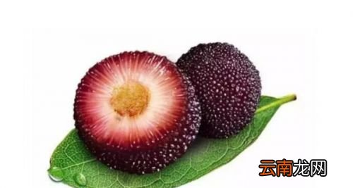 杨梅里肯定会有虫子吗