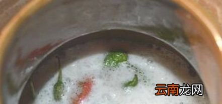 腌辣椒能放啤酒吗