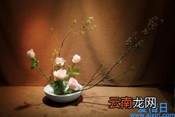 精美散文 抒情散文摘抄赏析