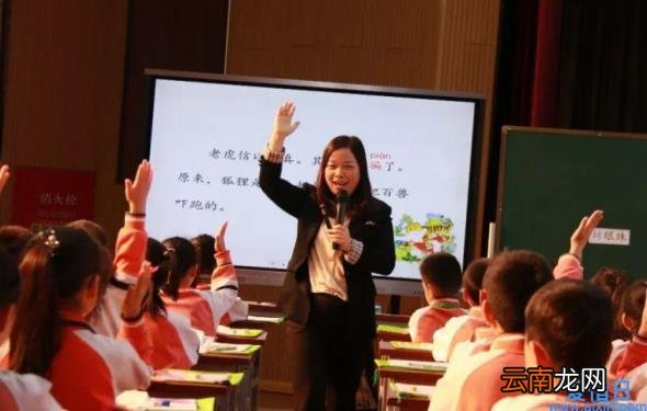 适合二年级的美文摘抄 小学二年级语文优秀作文精选10篇