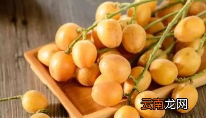 黄皮果吃完不能吃什么