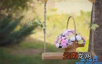 美文摘抄600字 美文摘抄600字赏析加感悟