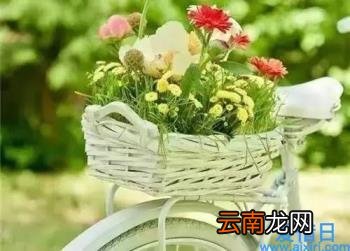 美文摘抄600字 美文摘抄600字赏析加感悟