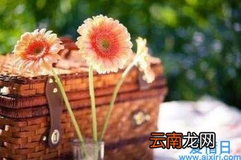 美文摘抄600字 美文摘抄600字赏析加感悟