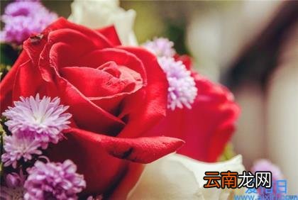 精彩美文摘抄和感悟 经典美文摘抄感悟及赏析