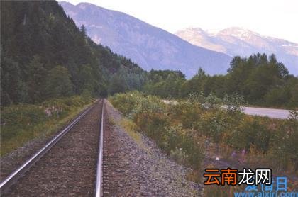精彩美文摘抄和感悟 经典美文摘抄感悟及赏析