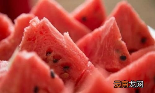 减肥期间晚上能不能吃西瓜