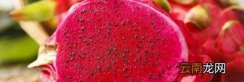 火龙果怎么保存的时间长