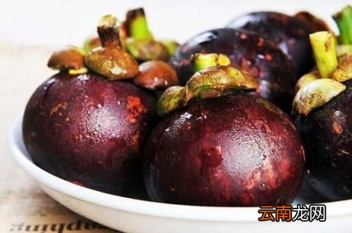 山竹可以保鲜多久