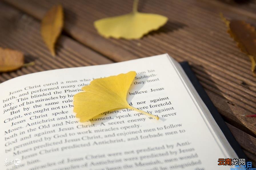 经典美文摘抄300字 优美文章摘抄大全300字