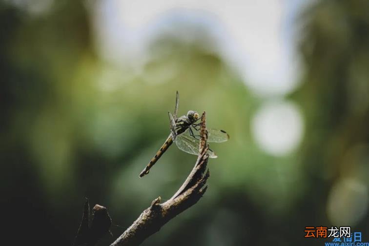 每天摘抄一篇美文 每日美文摘抄