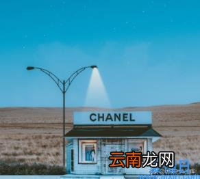 美文美句摘抄大全简短 美到让人心碎的句子