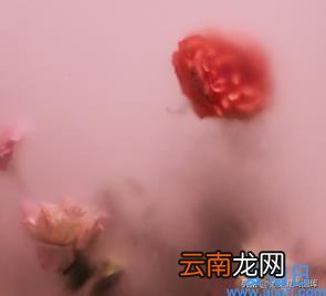 美文美句摘抄大全简短 美到让人心碎的句子