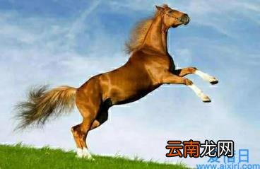 优秀美文摘抄300字 名家散文经典摘抄