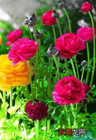 值得摘抄的美文 经典美文摘抄赏析