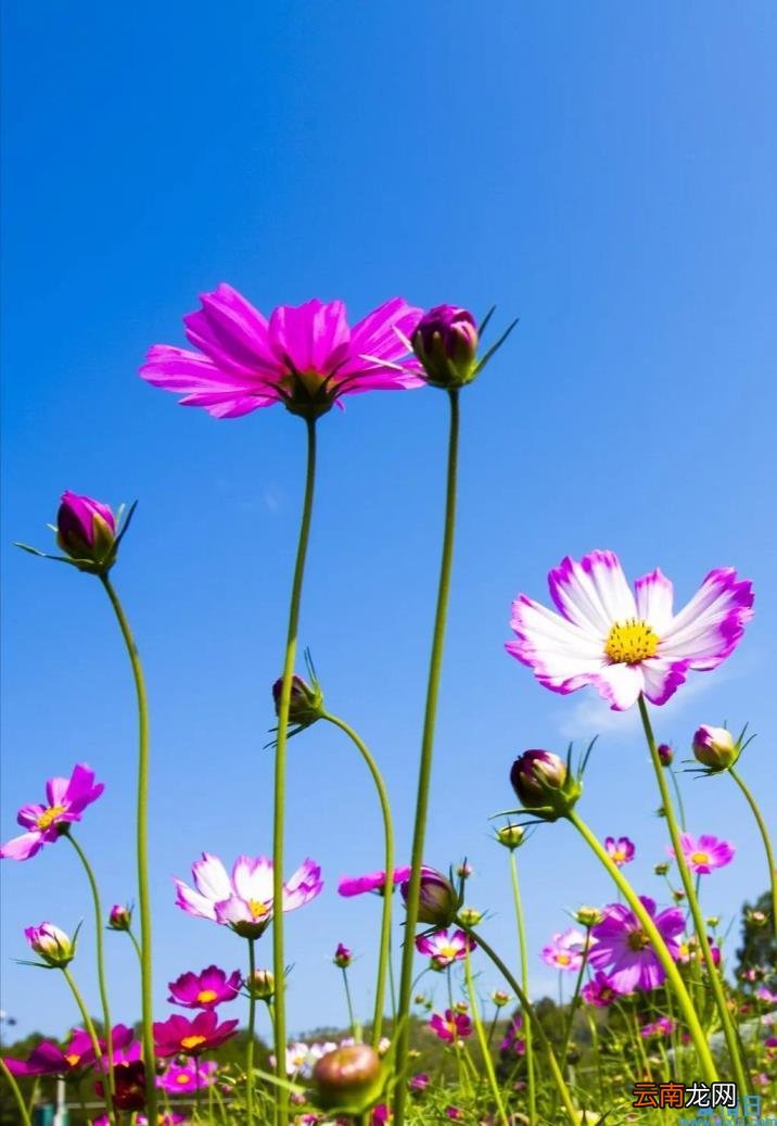 值得摘抄的美文 经典美文摘抄赏析