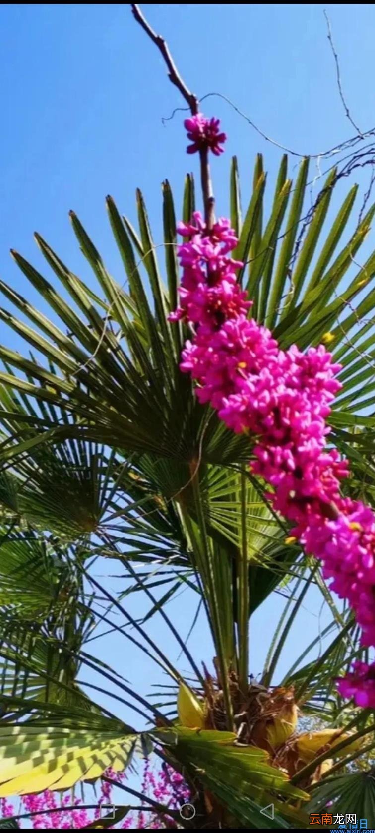 值得摘抄的美文 经典美文摘抄赏析