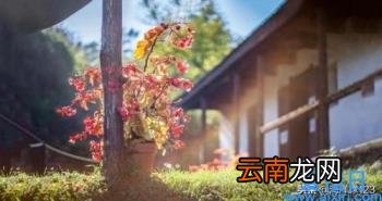 美文摘抄加赏析300字 30字美文赏析摘抄