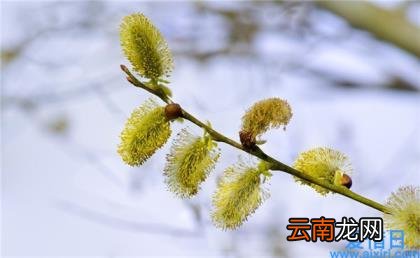 200字摘抄美文 短篇美文200字