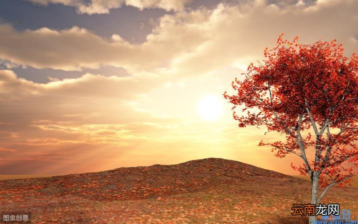 经典优美散文佳句摘抄 经典优美散文摘抄大全