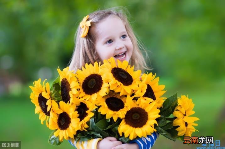 经典优美散文佳句摘抄 经典优美散文摘抄大全