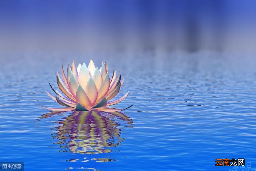 经典优美散文佳句摘抄 经典优美散文摘抄大全