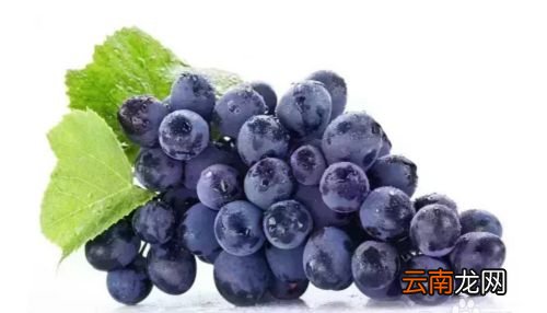 家里太多葡萄怎么办