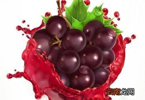 家里太多葡萄怎么办