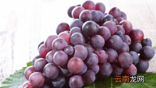 冷藏的葡萄可以储藏多久