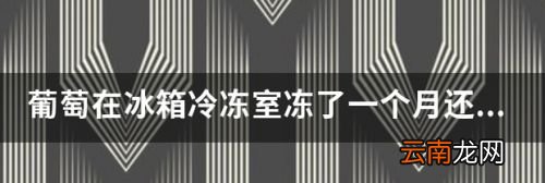 葡萄能放在冷冻冰箱吗