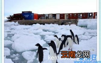 低成本适合女孩开的店 女人没经验开什么店好