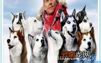 如何开淘宝店的流程 怎么开淘宝