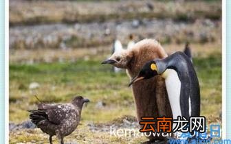 从零开始学做衣服步骤 衣服怎么做