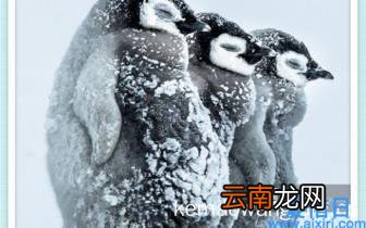 京东e卡买什么最划算 京东e卡可以买什么东西