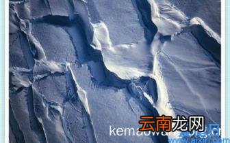 京东e卡买什么最划算 京东e卡可以买什么东西