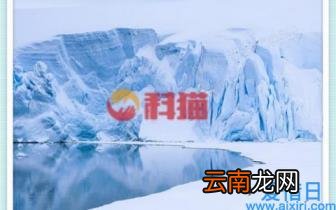 “赔就是了！”重庆一孕妇在婚纱店怒剪32件婚纱，事后道歉：特别后悔